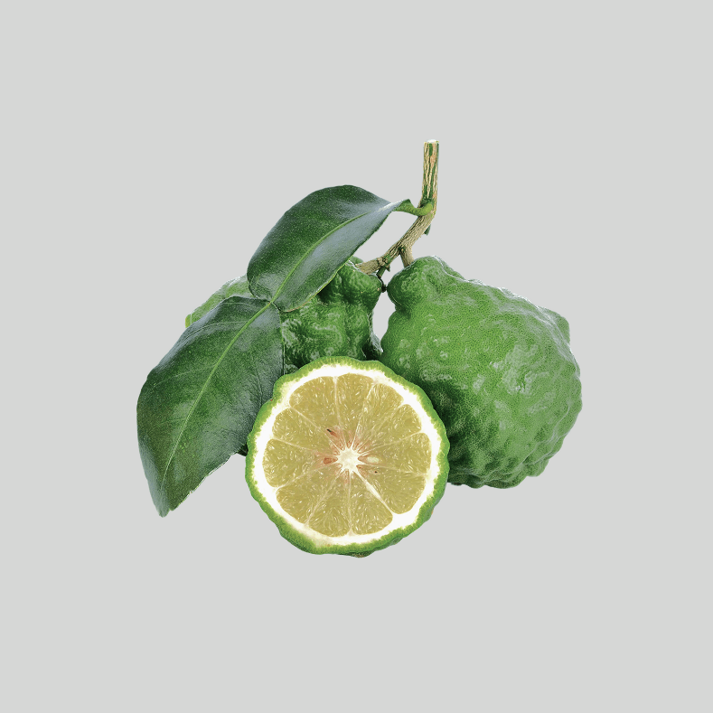 Bergamot Essential Oil