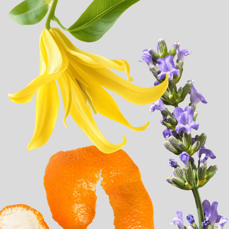 Pure Essential Oils