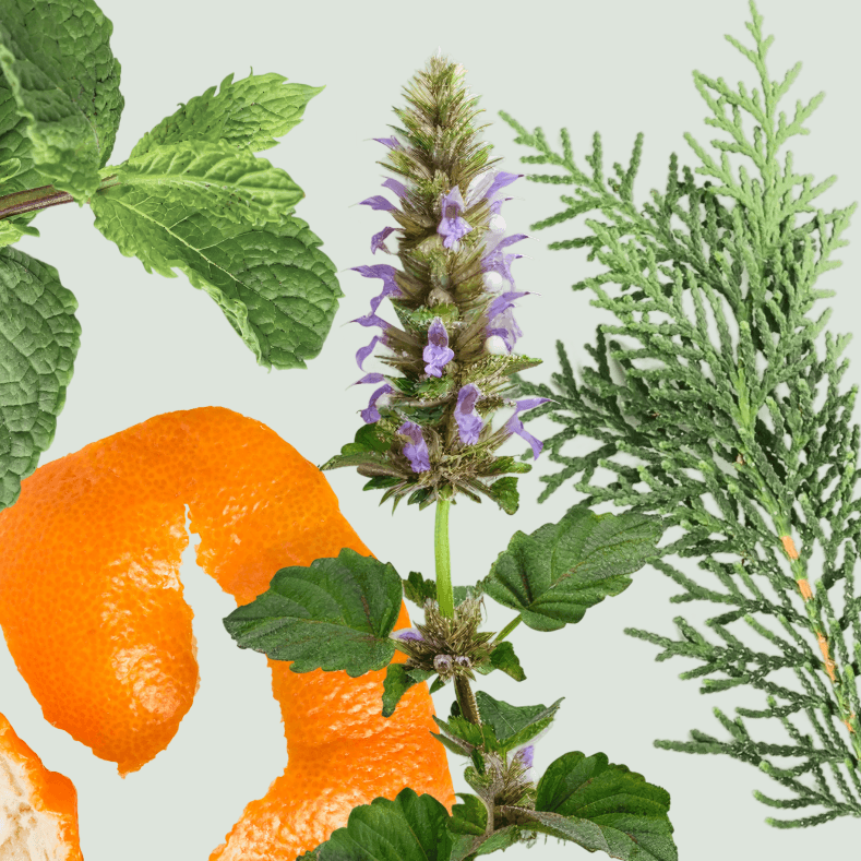 Pure Essential Oils